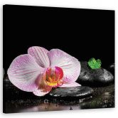 Leinwandbild, Blumen Orchidee Zen Spa 