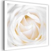 Leinwandbild, Zarte Rose 