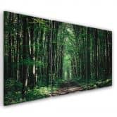 Leinwandbild 3-teilig, Waldgrün Natur 