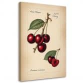 Leinwandbild Obst Weinlese Kirsche 