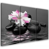 Leinwandbild 3-teilig, Rosa Zen-Blütensteine 