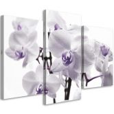 3-delige canvasprint, orchideebloesem paars 