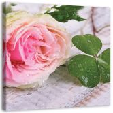 Leinwandbild, Rose Blumen Natur 