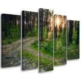 Leinwandbild 5 teilig, Wald Natur Straße Landschaft 
