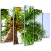 Leinwandbild 5 teilig, Palme Meer Strand 