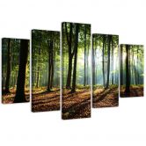 Leinwandbild 5 teilig, Waldgrün Natur 