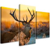 Leinwandbild 3-teilig, Hirsch Tier Sonnenuntergang Natur 