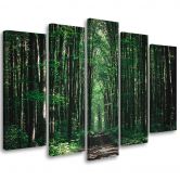 Leinwandbild 5 teilig, Waldgrün Natur 
