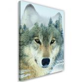 Leinwandbild, Wolf in einem Wald Hintergrund 