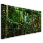 Leinwandbild 3-teilig, Regenwald Natur 