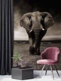 Fototapete, Elefant Tier Afrika 