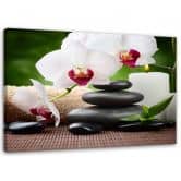 Leinwandbild, Orchideen Blumen Zen 
