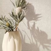 Vliestapete mit matter, leichter Struktur beige Betonoptik 