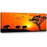 Leinwandbild, Panorama der Savanne in Afrika 