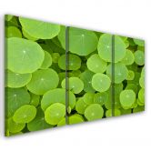 Leinwandbild 3-teilig, Grüne Blätter 
