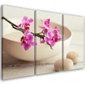 Leinwandbild 3-teilig, Orchid Bowl Blumen Beige 