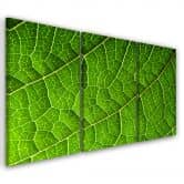 3-delige canvas print, groene bladeren natuur 