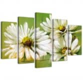 Wandbild 5-teilig, Weiße Margeriten Blumen 