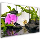 Leinwandbild 3-teilig, Zen Blumen Bambus Stein 