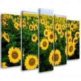 Lærredstryk 5 styk, Sunflowers Meadow 