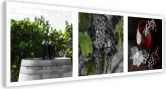 Leinwandbild, Obst Weinberg 