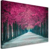 Leinwandbild, Avenue von rosa Bäumen 