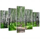 Leinwandbild 5 teilig, Birkenwald Natur 