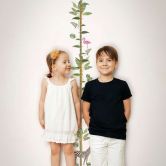 Kindertapete, Vliestapete, Messlatte mit Illustration Kids Walls weiß, grün, beige 