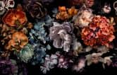 Fototapete Bildtapete Dark Floral Stillleben mit Orchideen, Hortensien und Pfingstrosen 2,7 x 4,24 m 