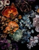 Fototapete Wandtapete mit Motiv Dark Floral Stillleben mit Orchideen 3,4 x 2,65 m 