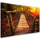 Leinwandbild 3-teilig, Herbst Wald Blätter Steg 