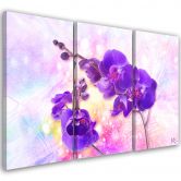 Leinwandbild 3 teilig, Lila Orchideenblume 