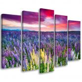 Leinwandbild 5 teilig, Blumen Wiese Lila 