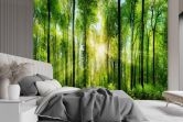 Fototapete, Sonnenstrahlen im Wald 