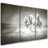 Leinwandbild 3-teilig, Galopp der weißen Pferde 