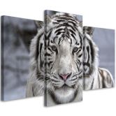 3-delige canvas print tijger wild dier zwart en wit 