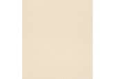 Rasch Mustertapete Vliestapete Black Forest 2016 Uni beige 