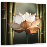 Leinwandbild Blume Zen-Bambus 