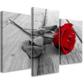 Leinwandbild 3-teilig, Rose Blumen Holz Steg 