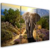 Leinwandbild 3-teilig, Elefanten-Safari Afrika Wildtiere 