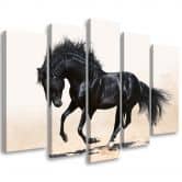 Leinwandbild 5 teilig, Galopp des schwarzen Pferdes 