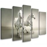 Wandbild 5-teilig, Weiße Pferde im Galopp 