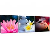 Leinwandbild 3-teilig, Blume Zen Stein 