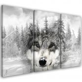 Leinwandbild 3-teilig, Wolf Wald Natur Grau 