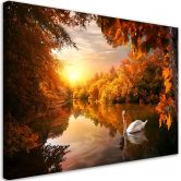 Leinwandbild, Schwan auf dem Teichherbst 