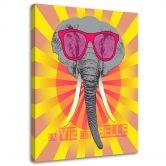 Canvasbillede, Elefant med briller 