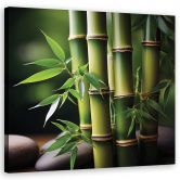Leinwandbild Orientalischer Zen-Bambus 