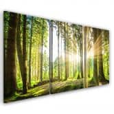 Leinwandbild 3-teilig, Wald Bäume Natur 