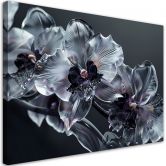 Canvasbillede, Sorte og hvide blomster i blomst 