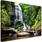 Leinwandbild, Wasserfall im grünen Wald 
